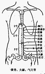 囪會穴|醫砭 » 經穴庫 » 臑會